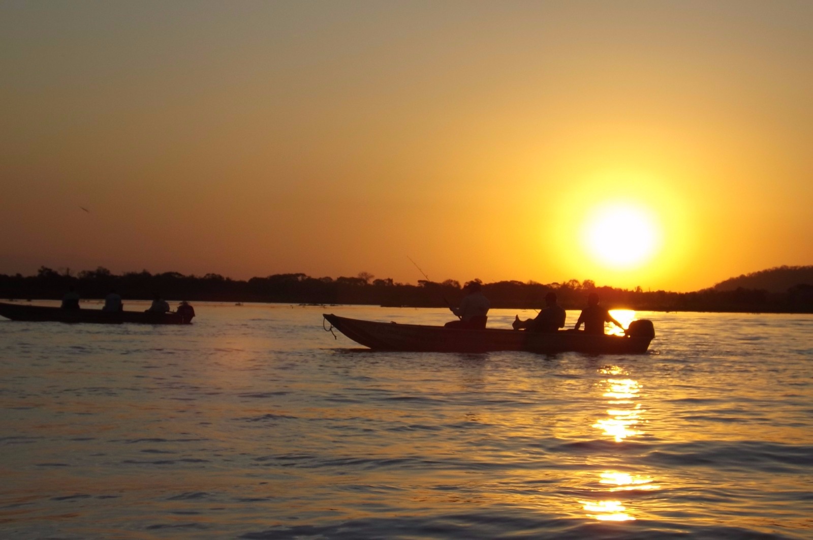 Especialista Em Turismo De Pesca